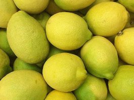 Argentina | EE. UU. establece una nueva definición para los limones sin pepitas en las normas de clasificación