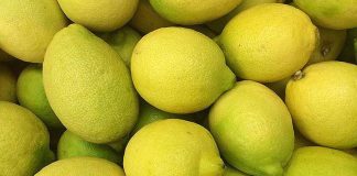 Argentina | EE. UU. establece una nueva definición para los limones sin pepitas en las normas de clasificación