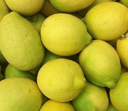 Argentina | EE. UU. establece una nueva definición para los limones sin pepitas en las normas de clasificación