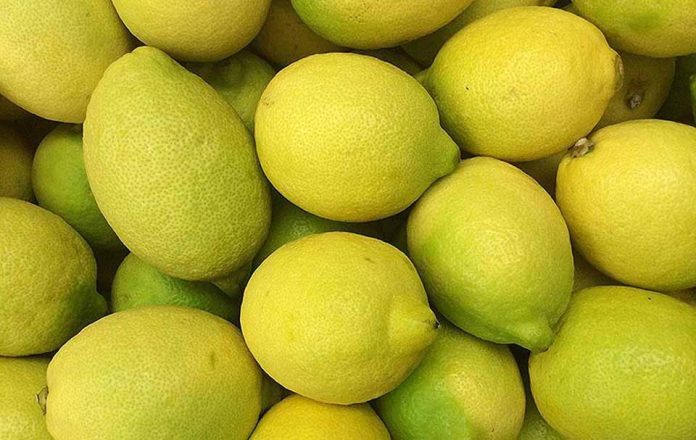Argentina | EE. UU. establece una nueva definición para los limones sin pepitas en las normas de clasificación