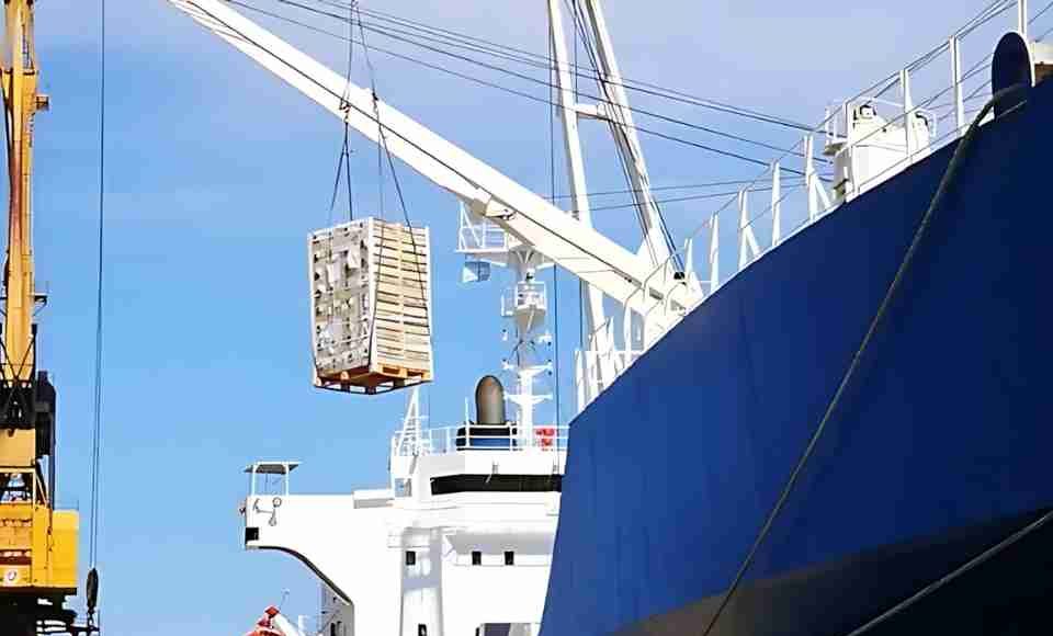 Argentina | Efecto Irán: Exportadores de fruta tuvieron que pagar 9,1% más caro los fletes al puerto