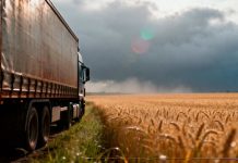 Argentina La agroindustria como motor exportador histórico (1)