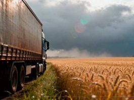 Argentina La agroindustria como motor exportador histórico (1)