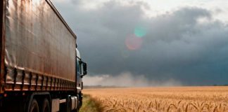 Argentina La agroindustria como motor exportador histórico (1)