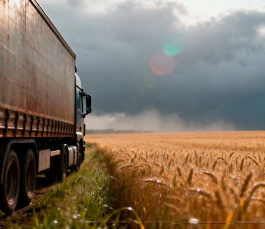 Argentina La agroindustria como motor exportador histórico (1)