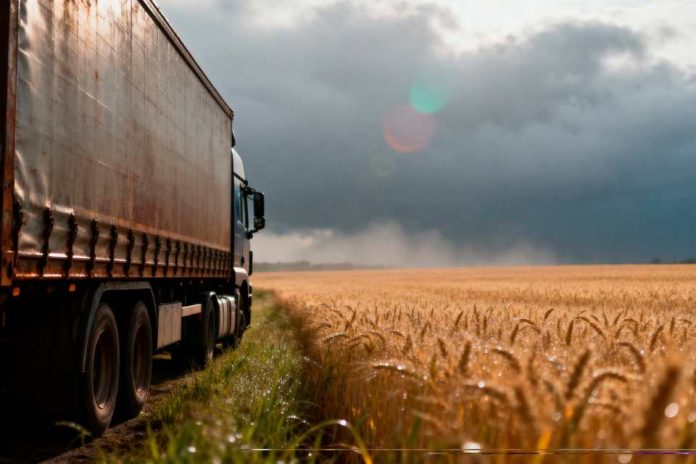 Argentina La agroindustria como motor exportador histórico (1)