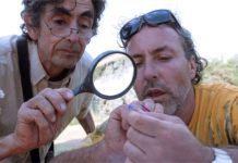 Argentina | Semillas: Presentan a las entidades rurales un proyecto para un nuevo sistema de fiscalización de variedades de autógamas