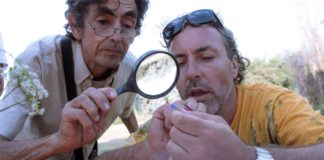 Argentina | Semillas: Presentan a las entidades rurales un proyecto para un nuevo sistema de fiscalización de variedades de autógamas