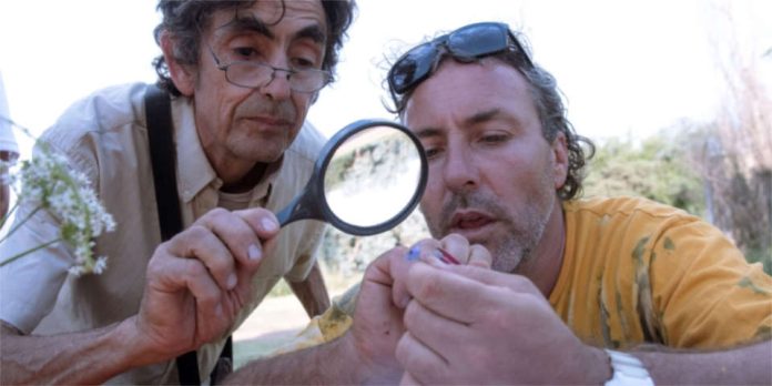 Argentina | Semillas: Presentan a las entidades rurales un proyecto para un nuevo sistema de fiscalización de variedades de autógamas