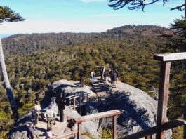 Autoridades refuerzan agenda de desarrollo turístico en Parque Nacional Nahuelbuta Autoridades refuerzan agenda de desarrollo turístico en Parque Nacional Nahuelbuta