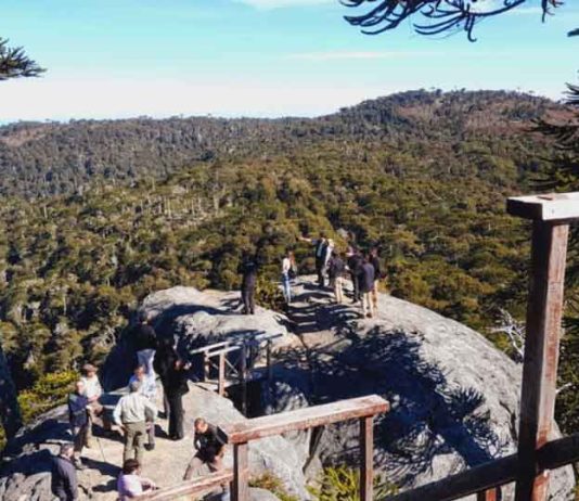Autoridades refuerzan agenda de desarrollo turístico en Parque Nacional Nahuelbuta