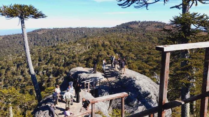 Autoridades refuerzan agenda de desarrollo turístico en Parque Nacional Nahuelbuta