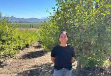 Baika avanza en integración y creación de valor para retailers internacionales