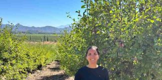 Baika avanza en integración y creación de valor para retailers internacionales