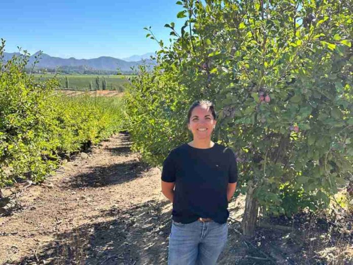 Baika avanza en integración y creación de valor para retailers internacionales