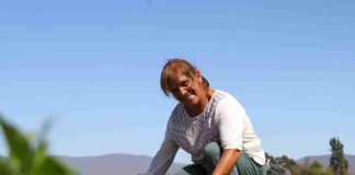 CNR dispone de $2.600 millones para concurso exclusivo para mujeres de Atacama y Coquimbo CNR dispone de $2.600 millones para concurso exclusivo para mujeres de Atacama y Coquimbo