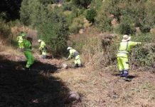CONAF apoya la creación de parque urbano y protege contra incendios forestales en Coelemu CONAF apoya la creación de parque urbano y protege contra incendios forestales en Coelemu