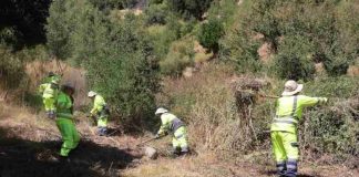 CONAF apoya la creación de parque urbano y protege contra incendios forestales en Coelemu 