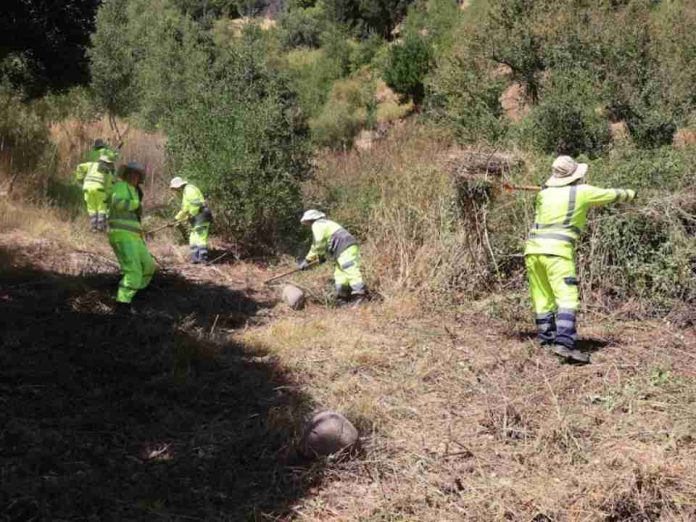 CONAF apoya la creación de parque urbano y protege contra incendios forestales en Coelemu 