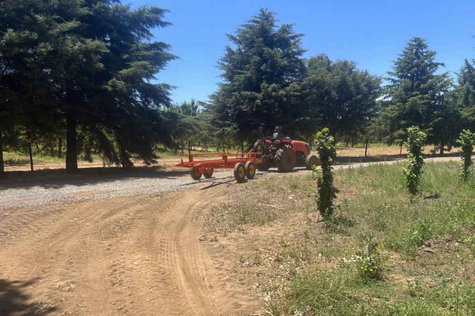 Carro transportador de bins autocargable, carros cosecheros Agromaci