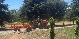 Carros cosecheros: La clave de Agromaci para garantizar la continuidad operativa en la agricultura chilena Carros cosecheros: La clave de Agromaci para garantizar la continuidad operativa en la agricultura chilena, Carros cosecheros Agromaci, transportador de bins