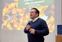 Chacay: la especie invasora que hoy se transforma en abono y solución ambiental