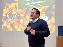 Chacay: la especie invasora que hoy se transforma en abono y solución ambiental