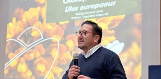 Chacay: la especie invasora que hoy se transforma en abono y solución ambiental