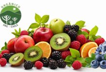 Chile: Único país sudamericano en lograr vigencia indefinida de acuerdo orgánico con la Unión Europea