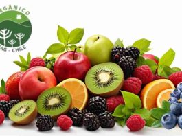 Chile: Único país sudamericano en lograr vigencia indefinida de acuerdo orgánico con la Unión Europea