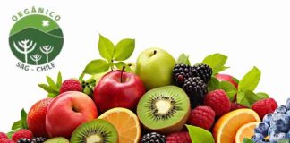 Chile: Único país sudamericano en lograr vigencia indefinida de acuerdo orgánico con la Unión Europea