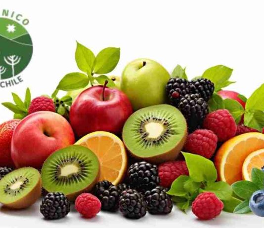 Chile: Único país sudamericano en lograr vigencia indefinida de acuerdo orgánico con la Unión Europea