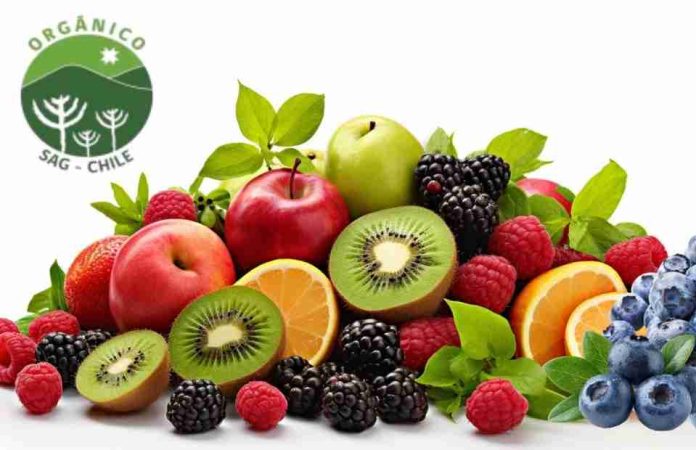 Chile: Único país sudamericano en lograr vigencia indefinida de acuerdo orgánico con la Unión Europea