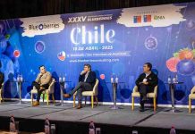 Chile ante la nueva competencia global: el panel que abrirá una conversación clave para la industria del arándano Chile ante la nueva competencia global: el panel que abrirá una conversación clave para la industria del arándano