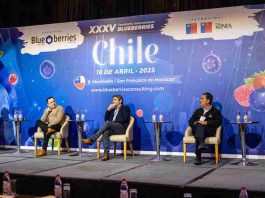 Chile ante la nueva competencia global: el panel que abrirá una conversación clave para la industria del arándano