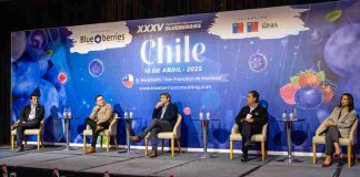 Chile ante la nueva competencia global: el panel que abrirá una conversación clave para la industria del arándano