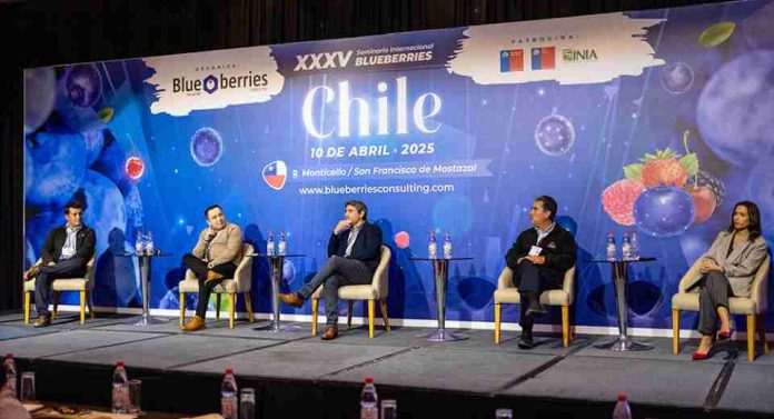 Chile ante la nueva competencia global: el panel que abrirá una conversación clave para la industria del arándano
