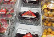 Chile y Vietnam: 55 años de cooperación y una agenda agrícola con proyección de futuro