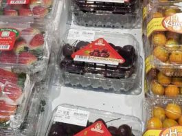 Chile y Vietnam: 55 años de cooperación y una agenda agrícola con proyección de futuro