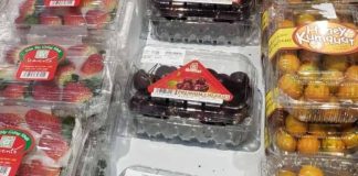 Chile y Vietnam: 55 años de cooperación y una agenda agrícola con proyección de futuro Chile y Vietnam: 55 años de cooperación y una agenda agrícola con proyección de futuro