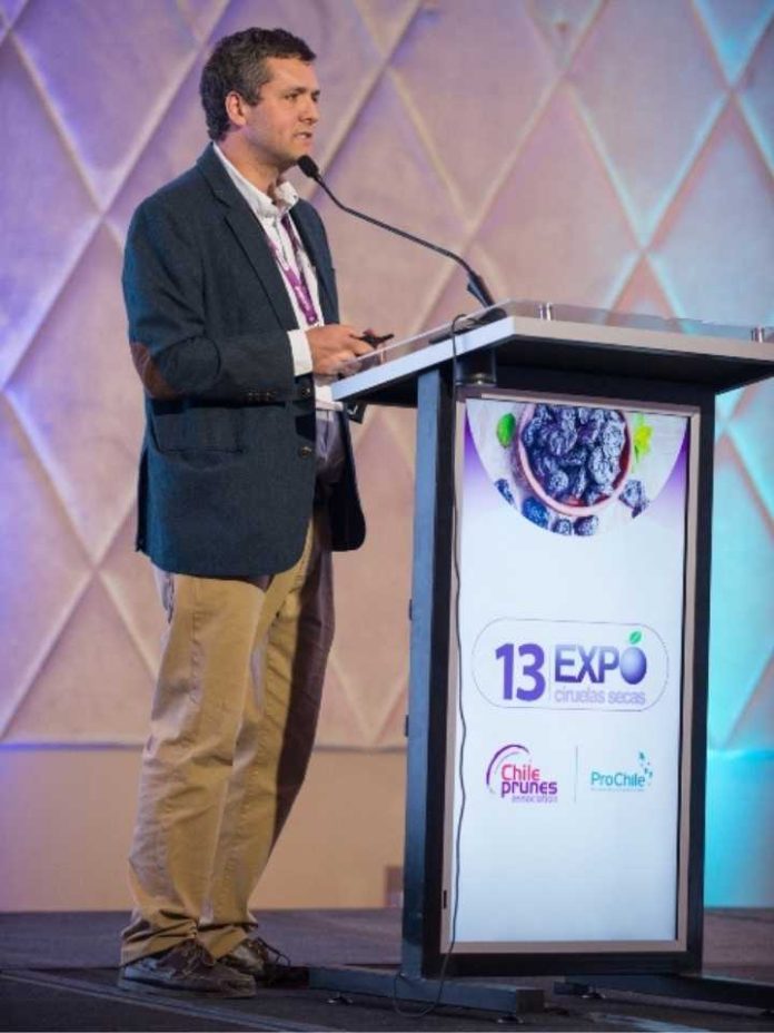 Ciruela fresca chilena en China: a competir con calidad y consistencia