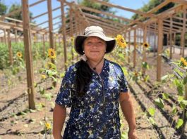 Comisión Nacional de Riego abrió postulaciones para nuevo curso gratuito de riego fotovoltaico destinado a mujeres agricultoras