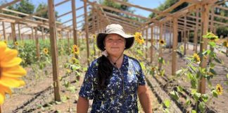 Comisión Nacional de Riego abrió postulaciones para nuevo curso gratuito de riego fotovoltaico destinado a mujeres agricultoras Comisión Nacional de Riego abrió postulaciones para nuevo curso gratuito de riego fotovoltaico destinado a mujeres agricultoras