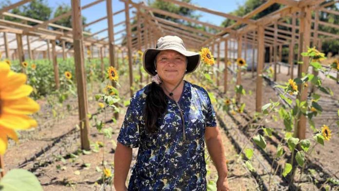 Comisión Nacional de Riego abrió postulaciones para nuevo curso gratuito de riego fotovoltaico destinado a mujeres agricultoras Comisión Nacional de Riego abrió postulaciones para nuevo curso gratuito de riego fotovoltaico destinado a mujeres agricultoras