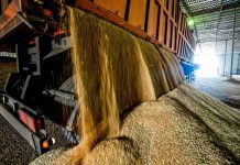 Comisión de Agricultura analizó junto a COTRISA su rol público