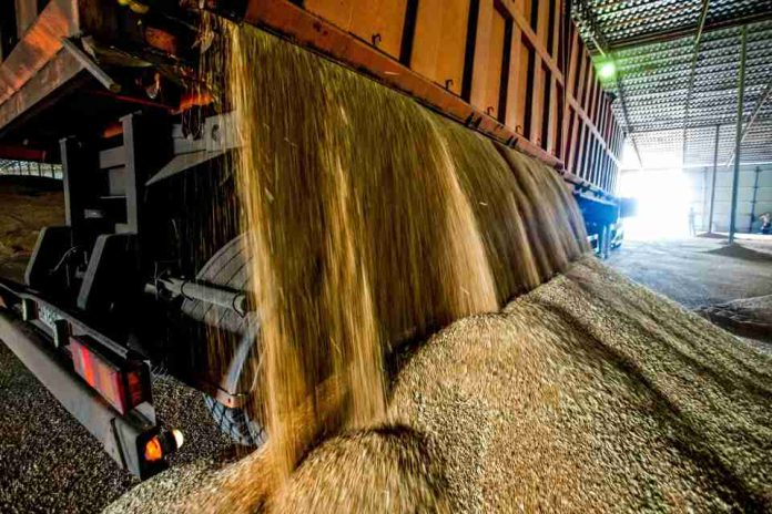 Comisión de Agricultura analizó junto a COTRISA su rol público