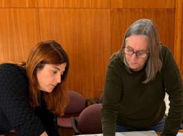  Comité Técnico SIMEF acelera modernización de su plataforma digital para el monitoreo de los bosques en Chile