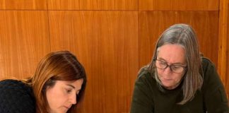  Comité Técnico SIMEF acelera modernización de su plataforma digital para el monitoreo de los bosques en Chile