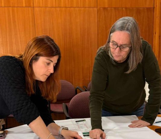  Comité Técnico SIMEF acelera modernización de su plataforma digital para el monitoreo de los bosques en Chile