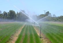 Consejo de la Sociedad Civil de la CNR y gremios del agro participaron en discusión del nuevo reglamento de la Ley de Riego